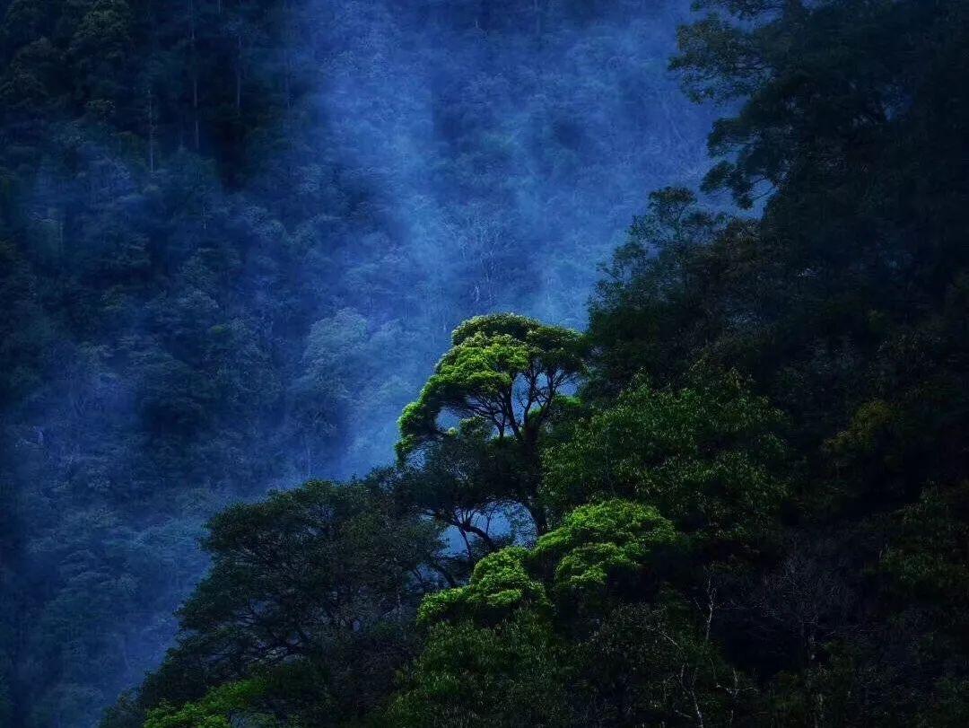 探索神秘小屋