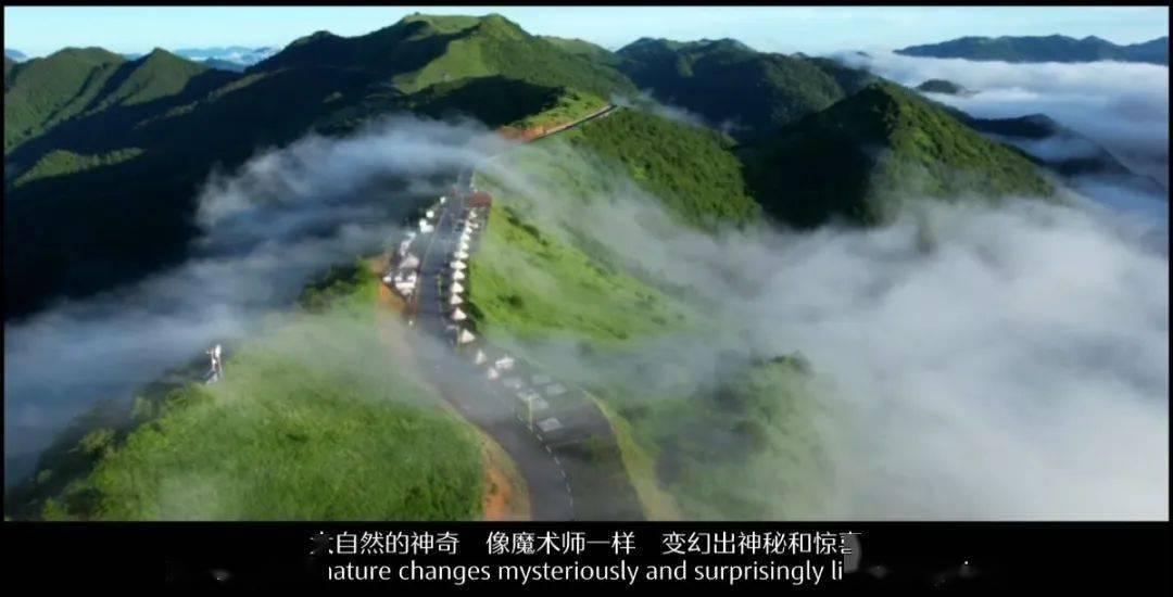 张艺谋认为“演电视剧是在毁演技”，你认同他的观点吗？游戏画面